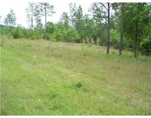 Lot 22 Lot Road McHenry, MS 39561 - Photo 2 of 7 Additional Photo