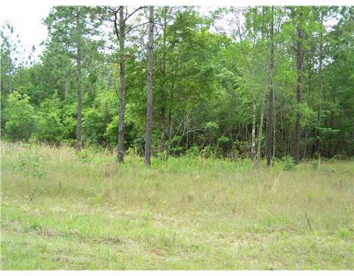 Lot 22 Lot Road McHenry, MS 39561 - Photo 3 of 7 Additional Photo
