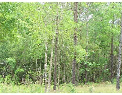 Lot 22 Lot Road McHenry, MS 39561 - Photo 5 of 7 Additional Photo