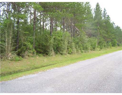 Lot 22 Lot Road McHenry, MS 39561 - Photo 7 of 7 Additional Photo