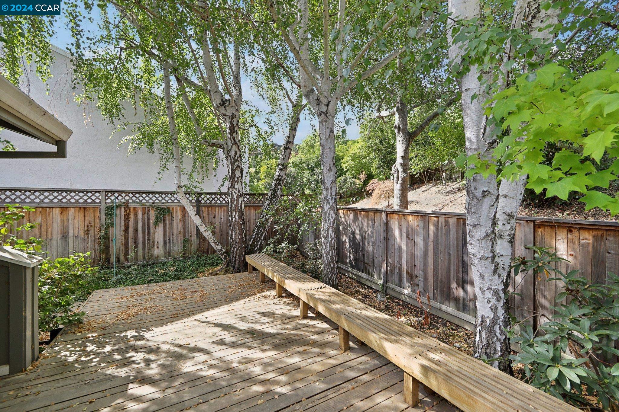 826 Augusta Drive Moraga, CA 94556 - Photo 35 of 35 a view of a backyard with wooden fence and large trees