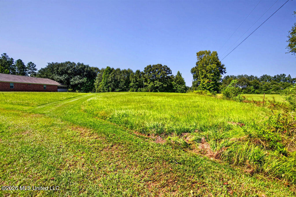847 City Bridge Road Perkinston, MS 39573 - Photo 13 of 65 847CityBridgeRd-13