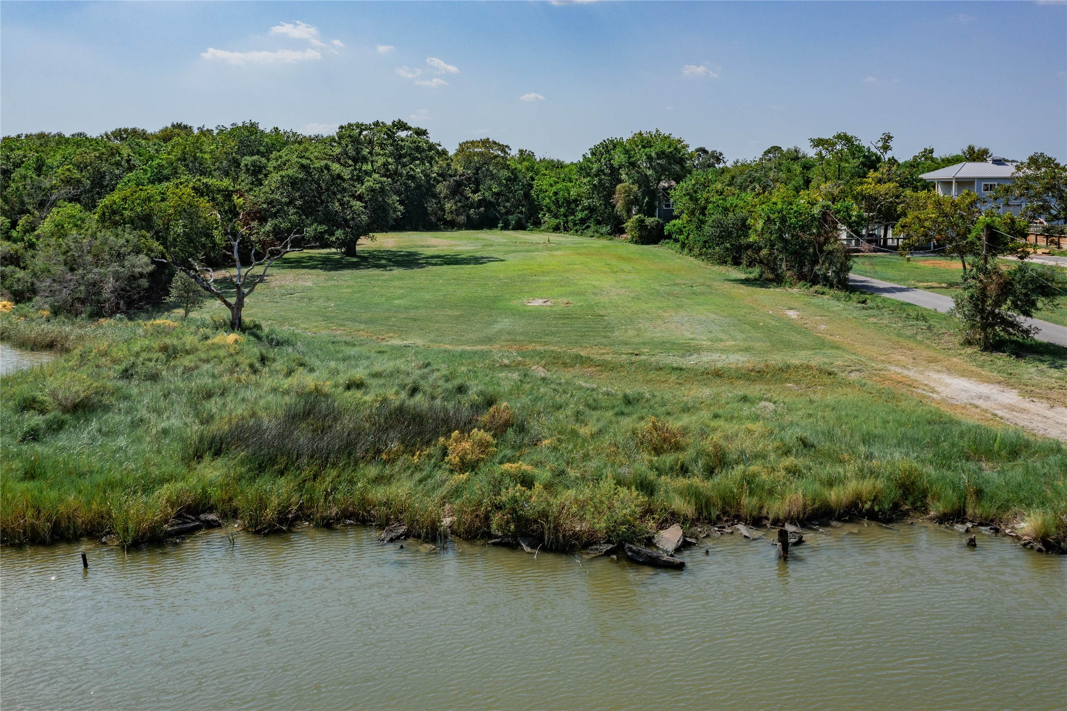 a view of a lush green space
