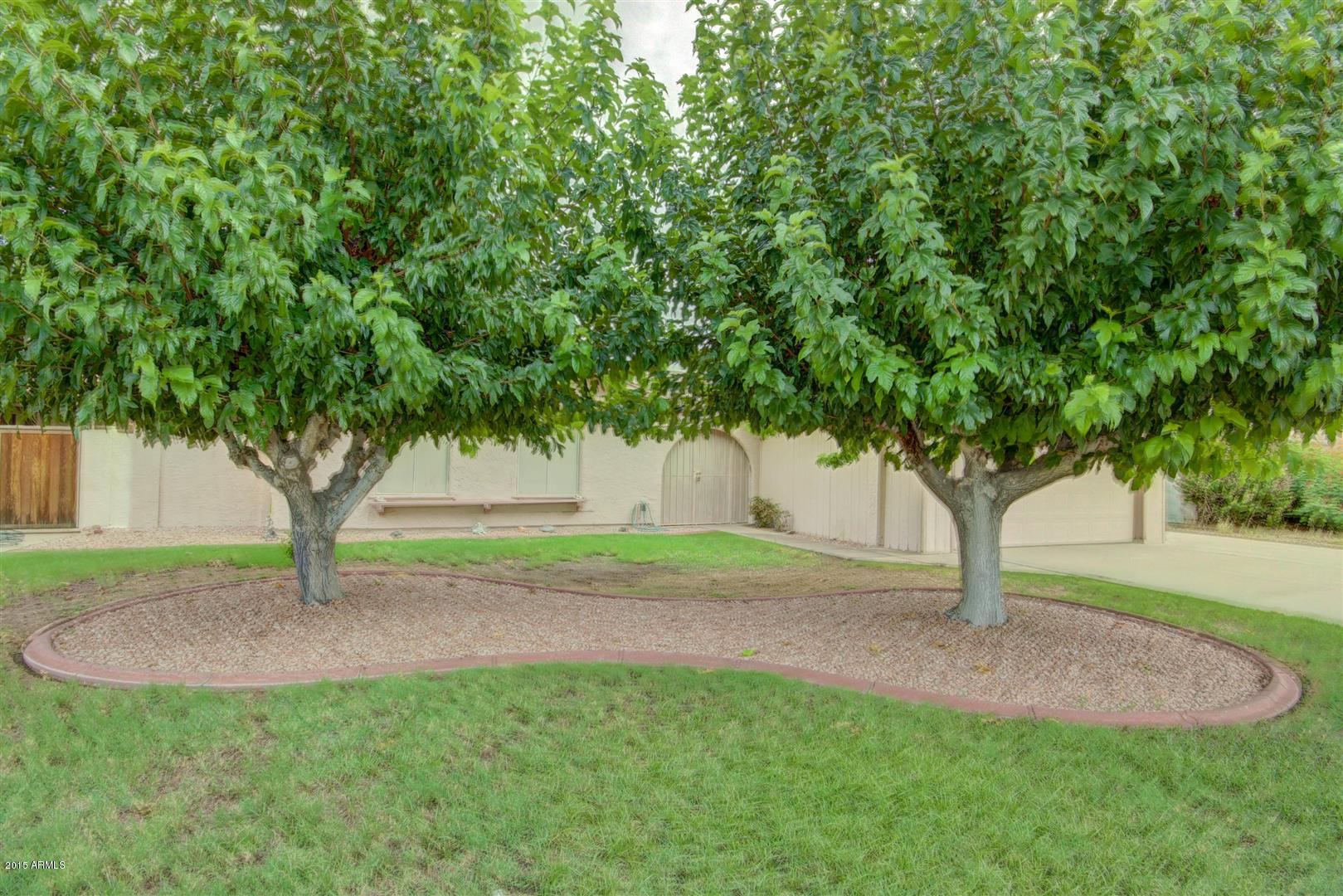 8852 West Osborn Road Phoenix, AZ 85037 - Photo 3 of 33 Osborn (3)