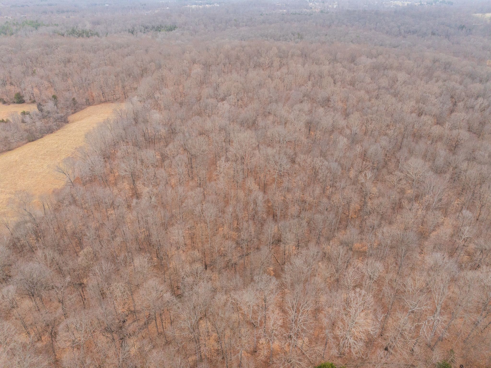 0 Wiley Branch Road Dickson, TN 37055 - Photo 17 of 27