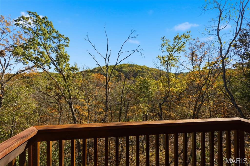 33 Wilderness Road Eureka, MO 63025 - Photo 39 of 74