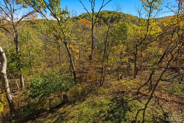 $479,000 | 33 Wilderness Road, Eureka, MO 63025