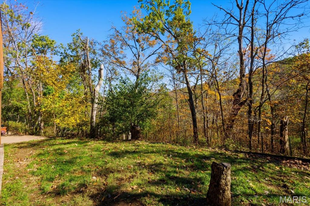 33 Wilderness Road Eureka, MO 63025 - Photo 66 of 74