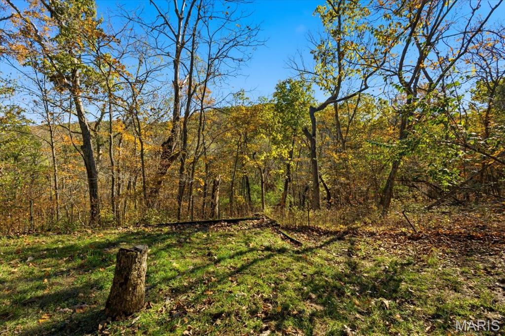 33 Wilderness Road Eureka, MO 63025 - Photo 67 of 74