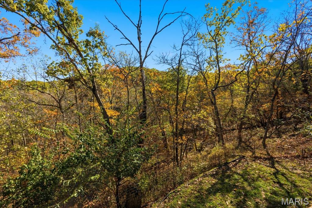 33 Wilderness Road Eureka, MO 63025 - Photo 70 of 74