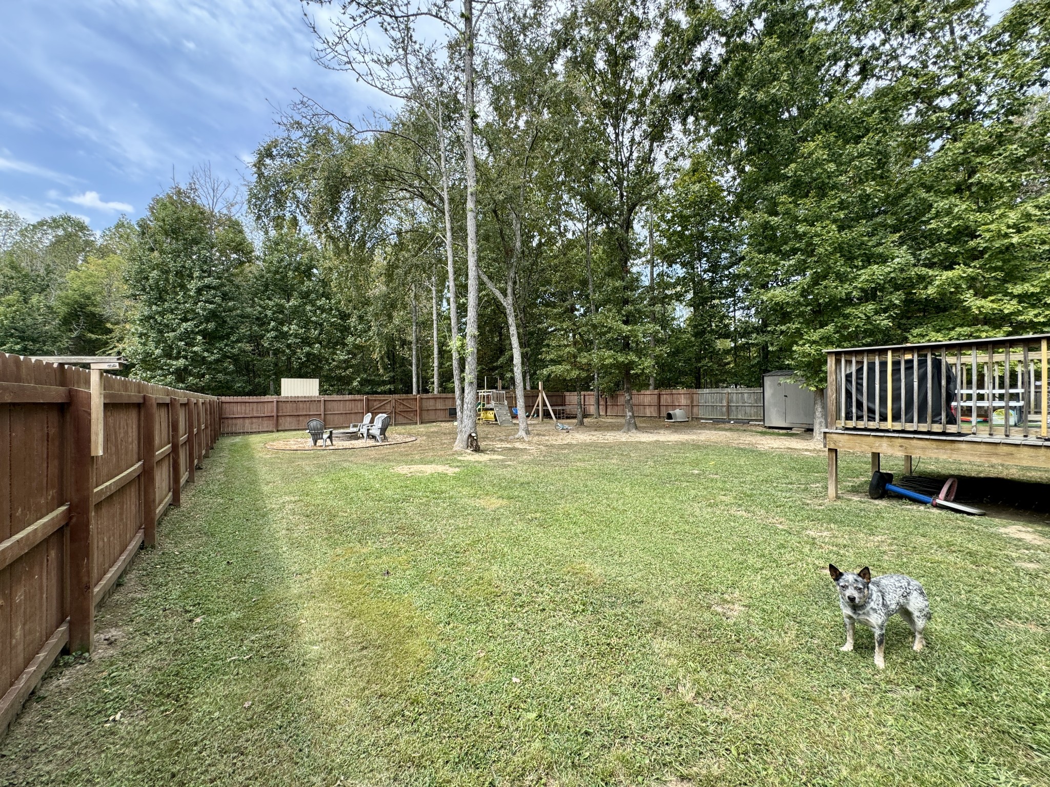 1119 Smiley Troutt Road Bethpage, TN 37022 - Photo 19 of 21 a view of a garden with deck