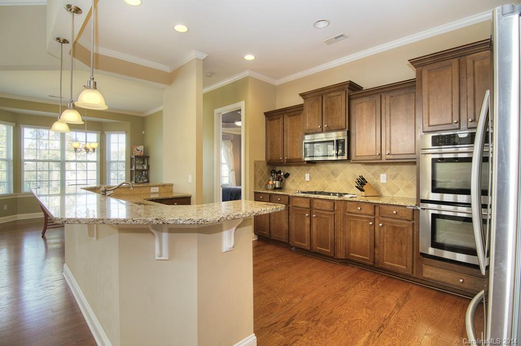 1145 Gold Rush Court Fort Mill, SC 29708 - Photo 7 of 22 Gallery Image 7