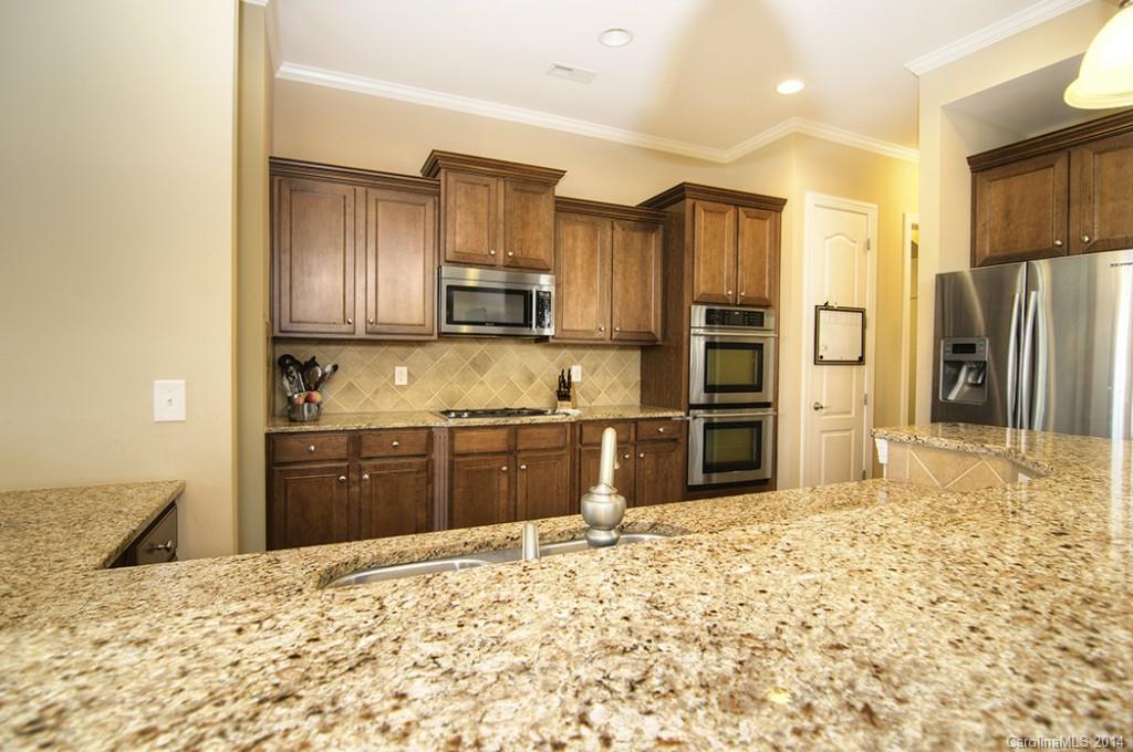 1145 Gold Rush Court Fort Mill, SC 29708 - Photo 9 of 22 Gallery Image 9