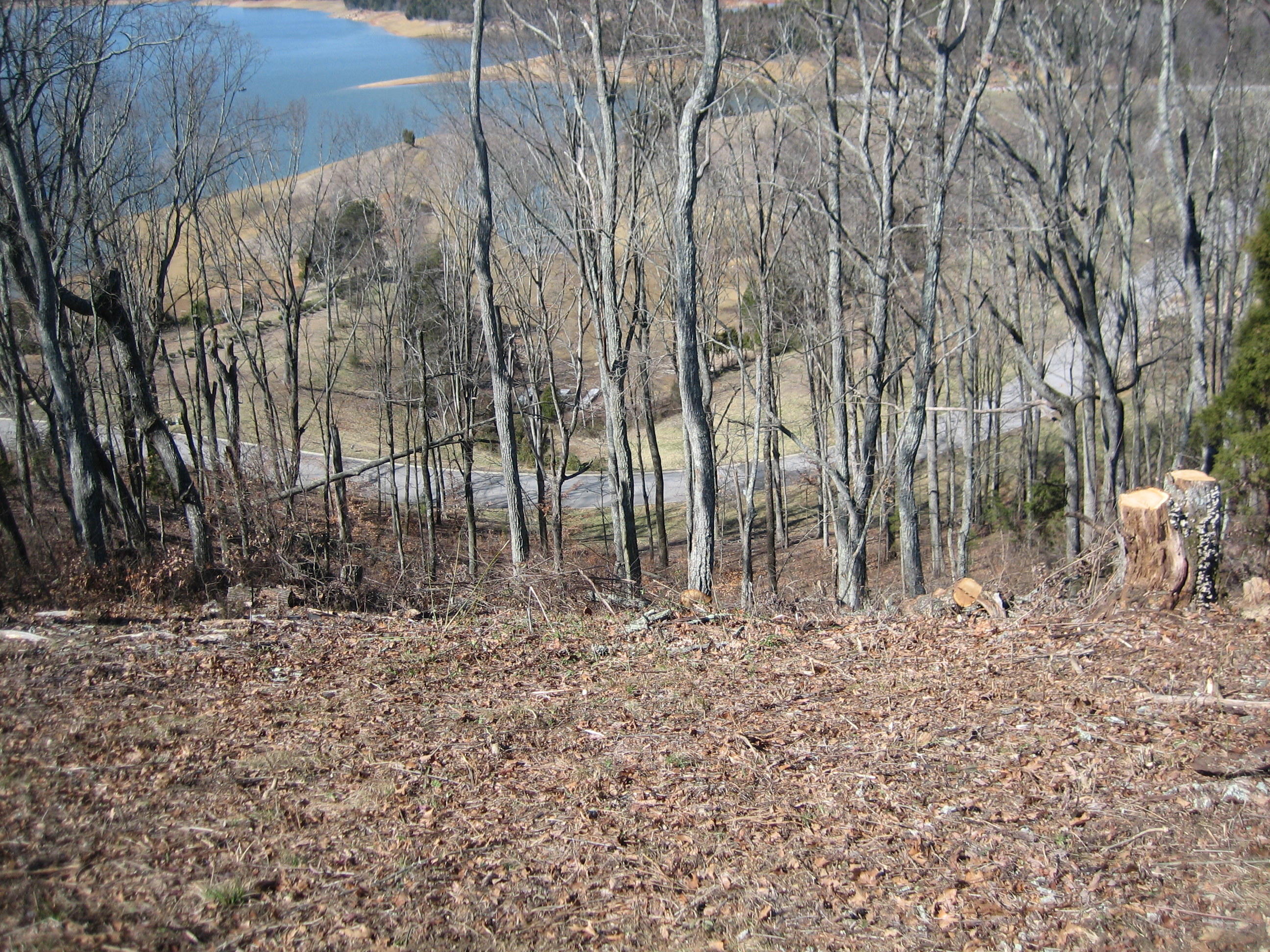 2025 Turner Landing Road Russellville, TN 37860 - Photo 3 of 13 TL 81