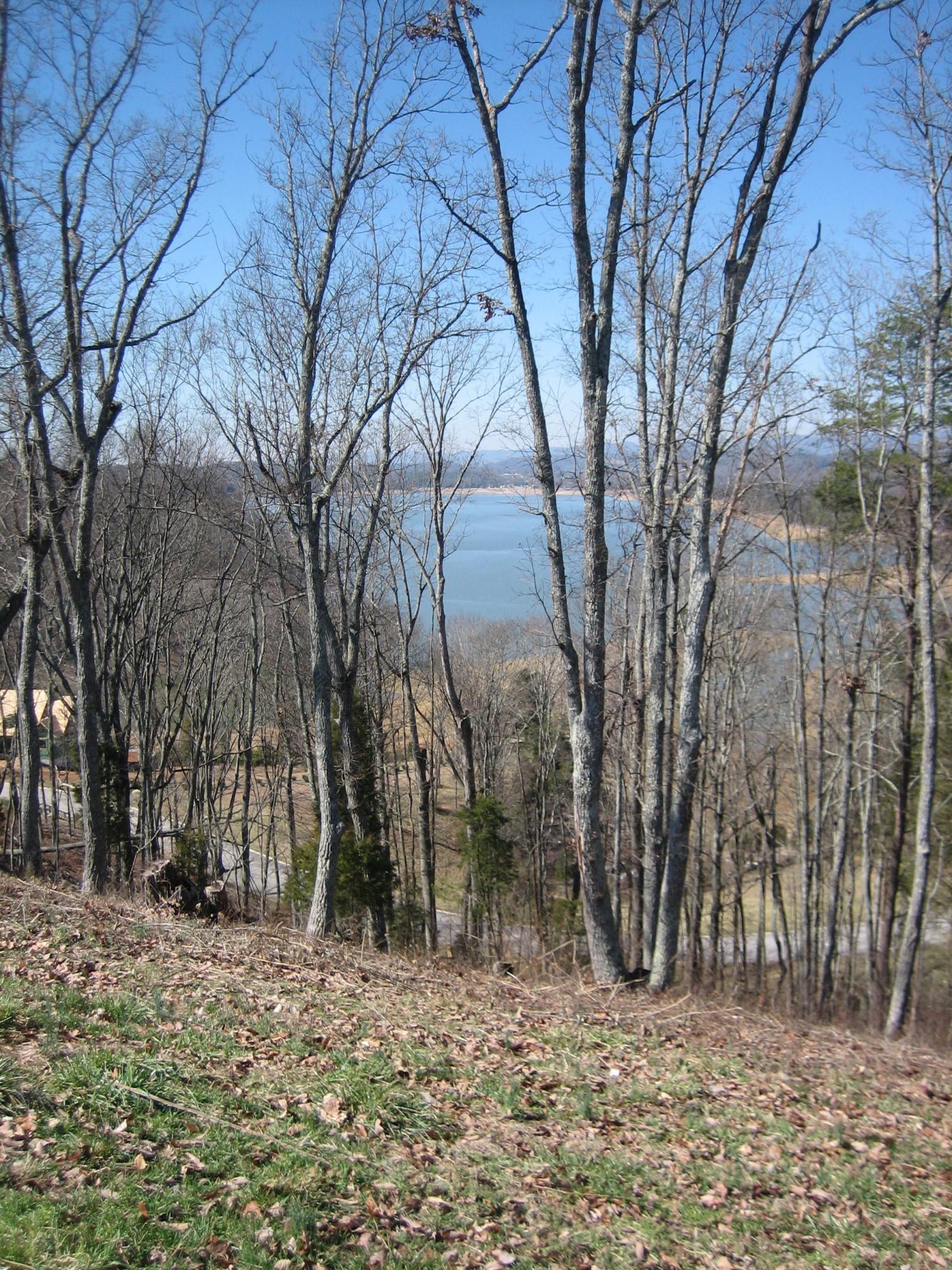 2025 Turner Landing Road Russellville, TN 37860 - Photo 5 of 13 TL lot 81 cleared