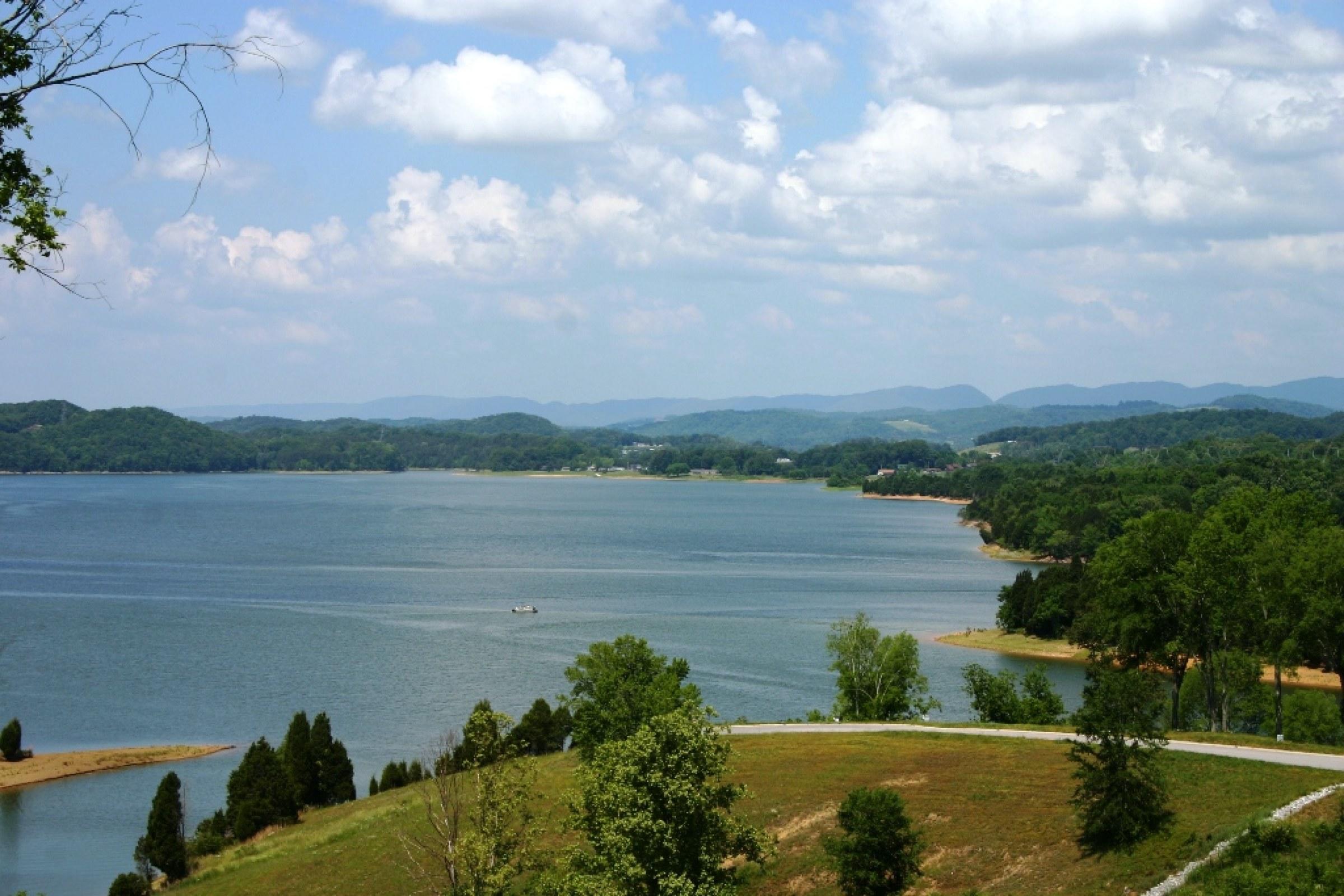 2025 Turner Landing Road Russellville, TN 37860 - Photo 7 of 13 TL beautiful spring day
