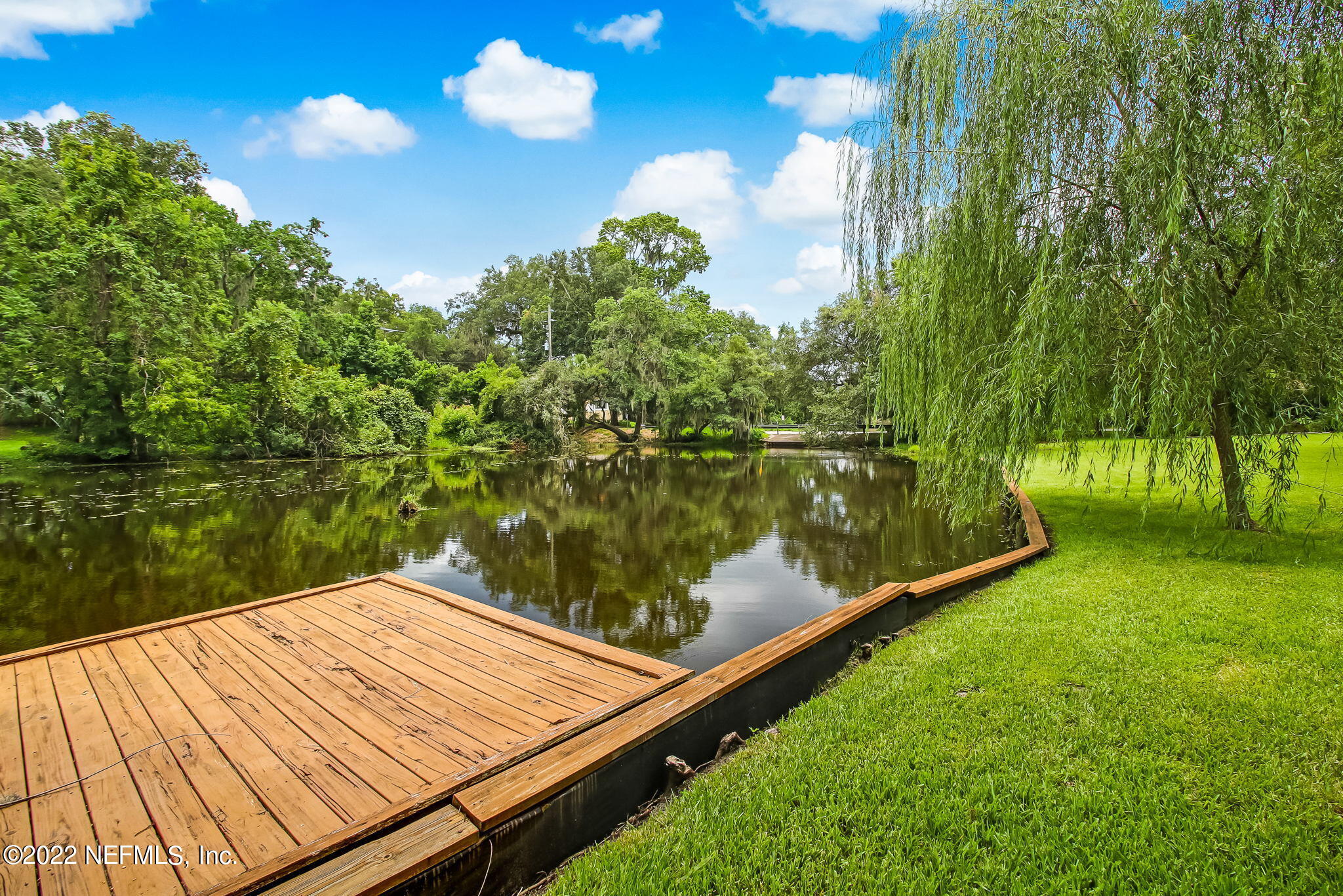 1609 Cornell Road Jacksonville, FL 32207 - Photo 71 of 86 New Rose Creek