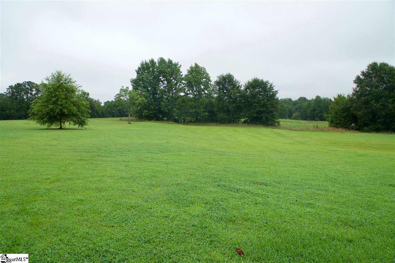 334 Meadow Road Inman, SC 29349 - Photo 16 of 17