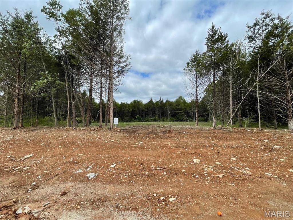 101 Jameson Crossing Foristell, MO 63348 - Photo 1 of 1