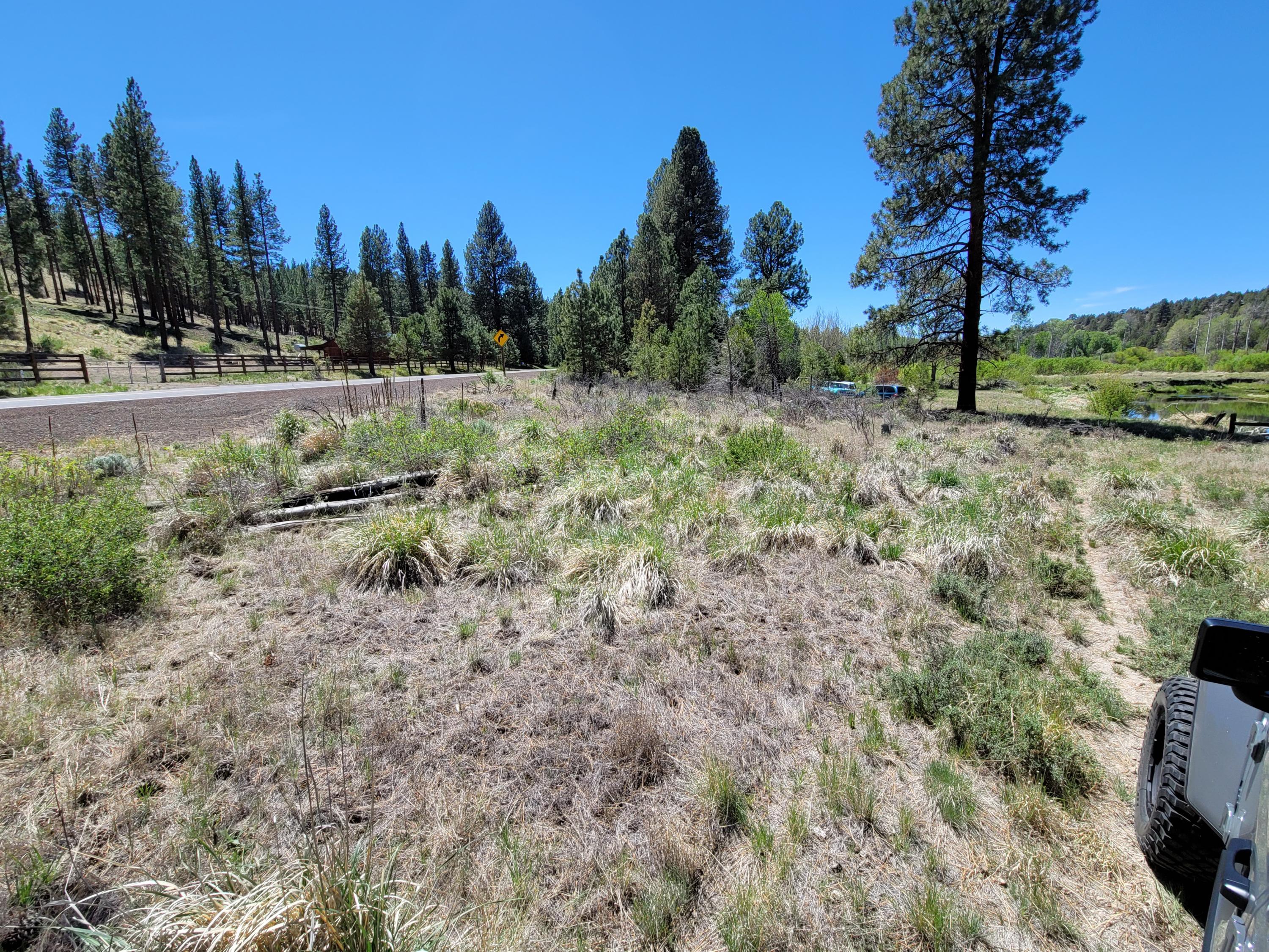 0 Or-140 Beatty, OR 97621 - Photo 3 of 16 20210528_141014