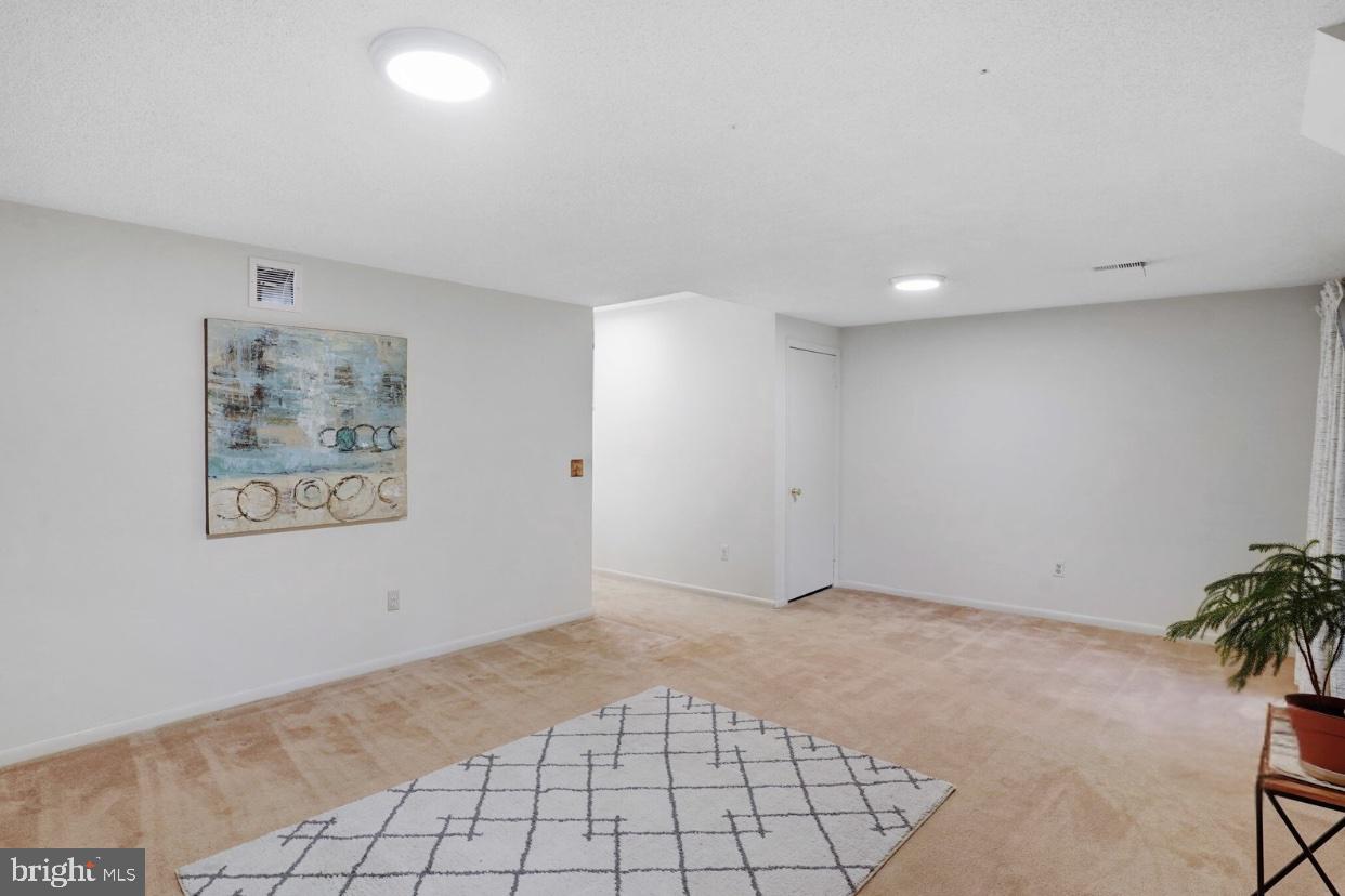 11877 Barrel Cooper Court Reston, VA 20191 - Photo 17 of 24 Lower Level