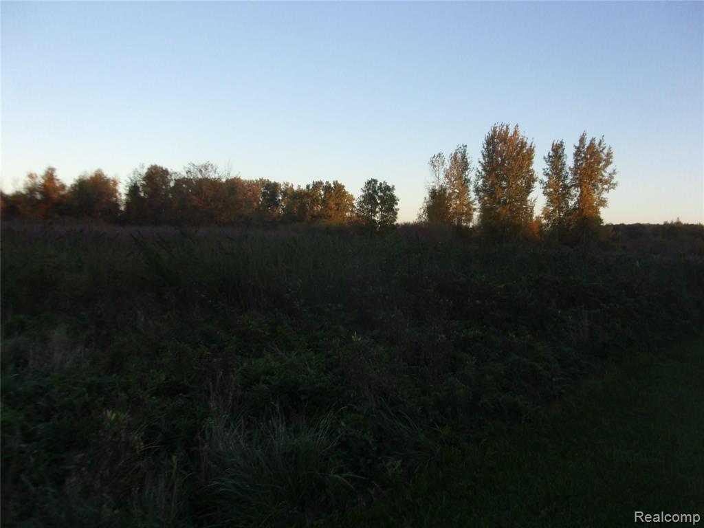 5744 Delong Road Deford, MI 48729 - Photo 17 of 54