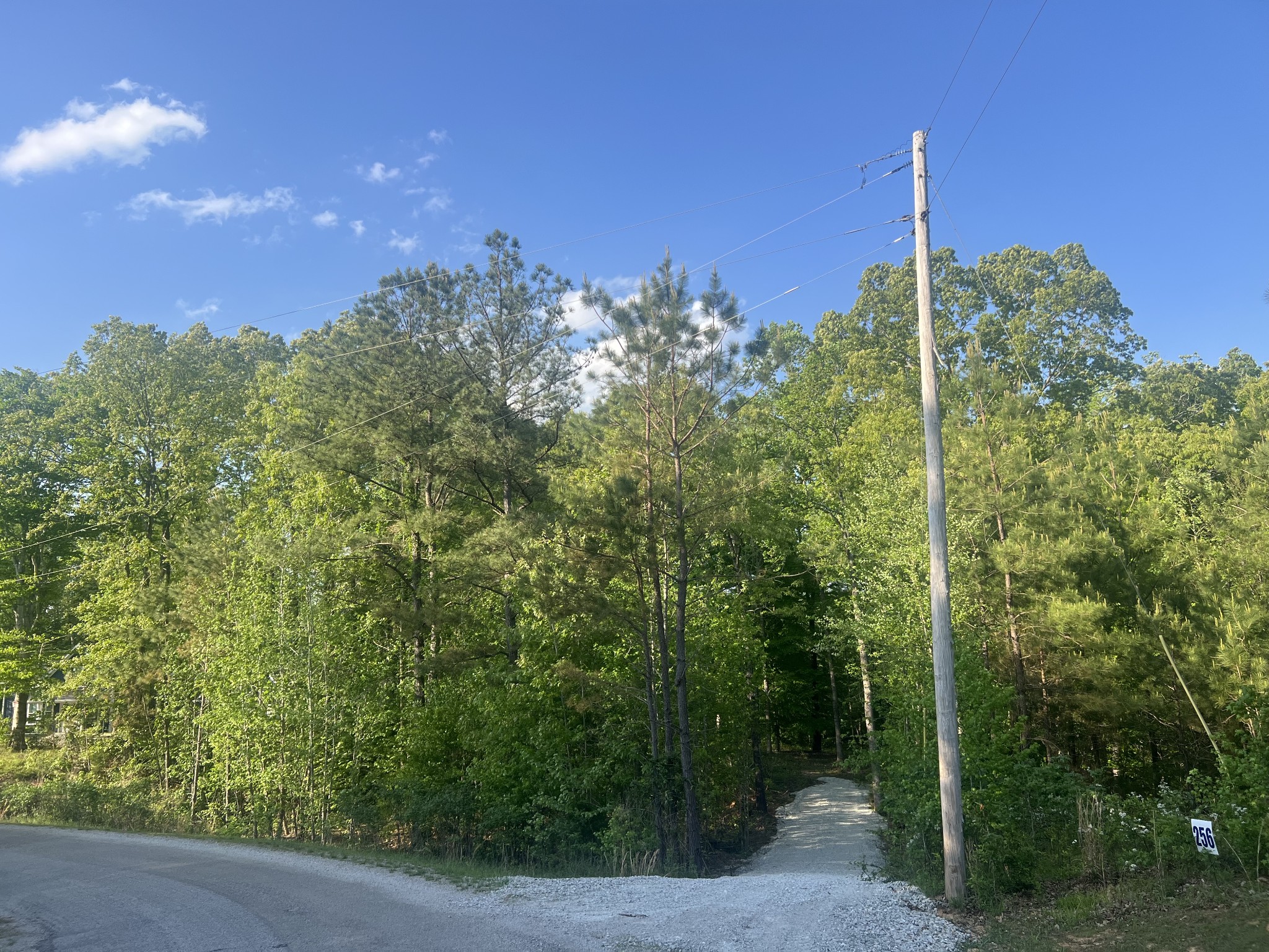 0 Excalibur Trail Cedar Grove, TN 38321 - Photo 2 of 9 a view of a city with tall trees
