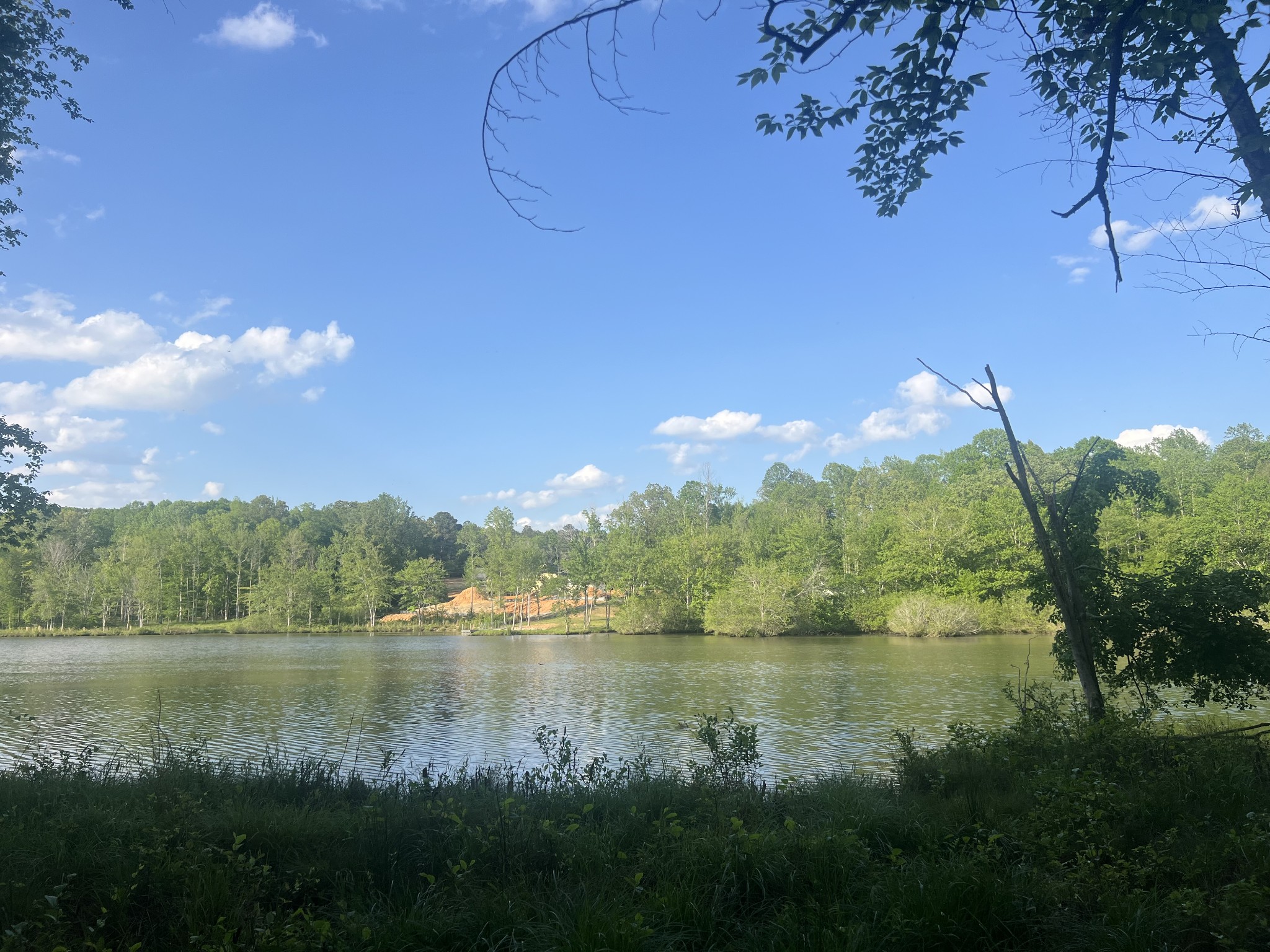 0 Excalibur Trail Cedar Grove, TN 38321 - Photo 5 of 9 a view of lake