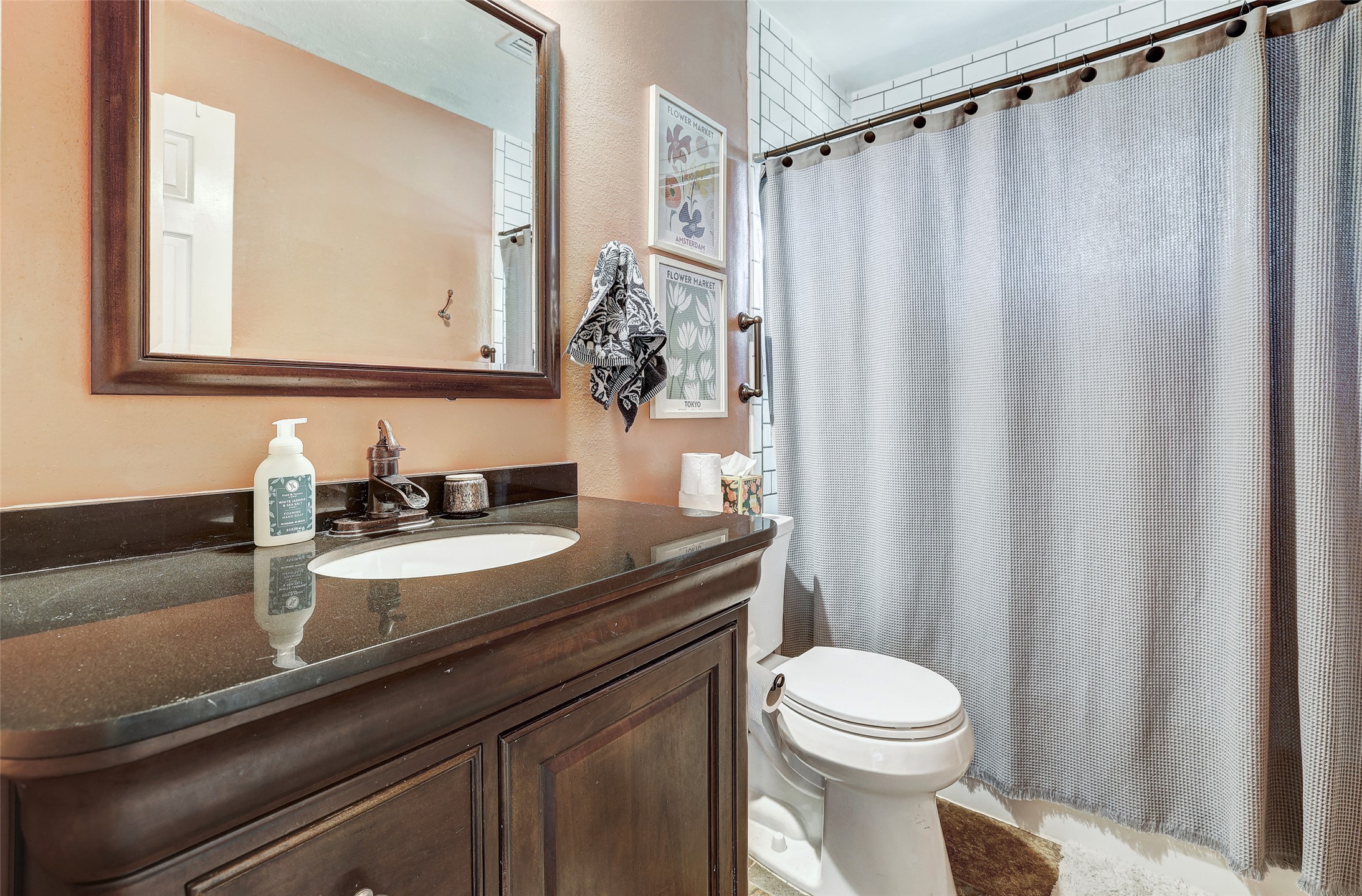 5907 Shanghai Pierce Road Austin, TX 78749 - Photo 23 of 29 Full bath featuring vanity and a shower with shower curtain