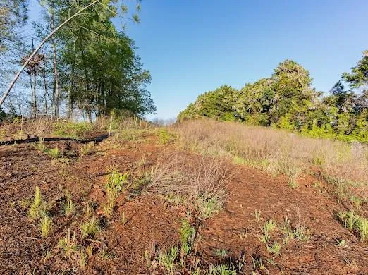 $792,000 | 4275 Westbrook Road, Suwanee, GA 30024