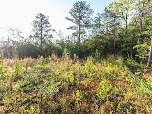 4275 Westbrook Road Suwanee, GA 30024 - Photo 18 of 24