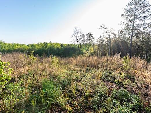 4275 Westbrook Road Suwanee, GA 30024 - Photo 19 of 24