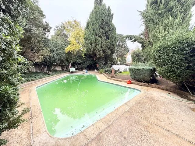 a view of a swimming pool with a yard and plants