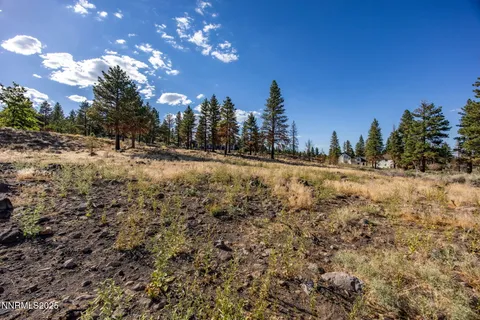 a view of a yard with wooden fence