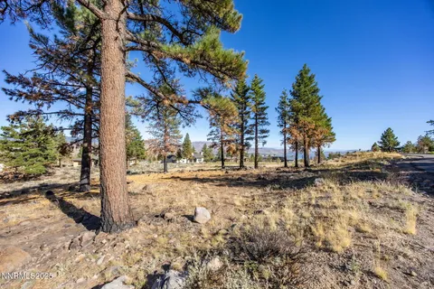 a view of a dry yard with trees in the background