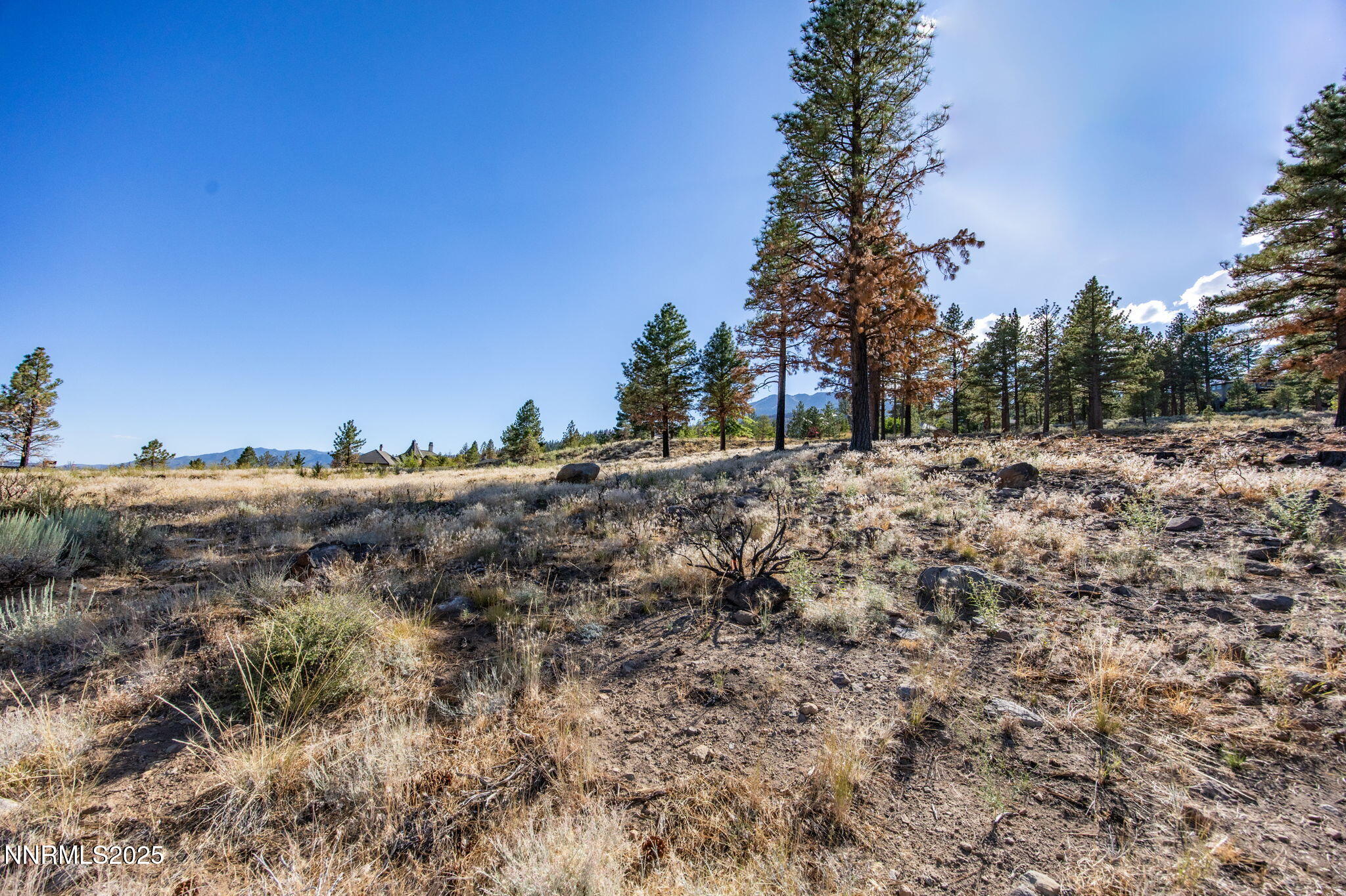 485 Mt Mahogany Court Reno, NV 89511 - Photo 14 of 28 a view of a dry yard with trees in the background
