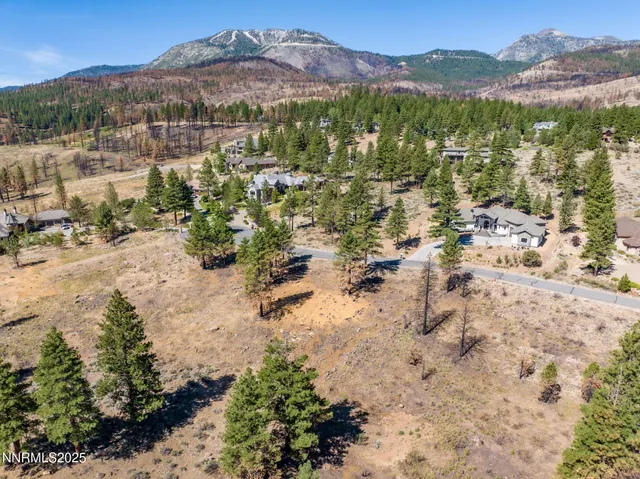 a view of snow on the trees