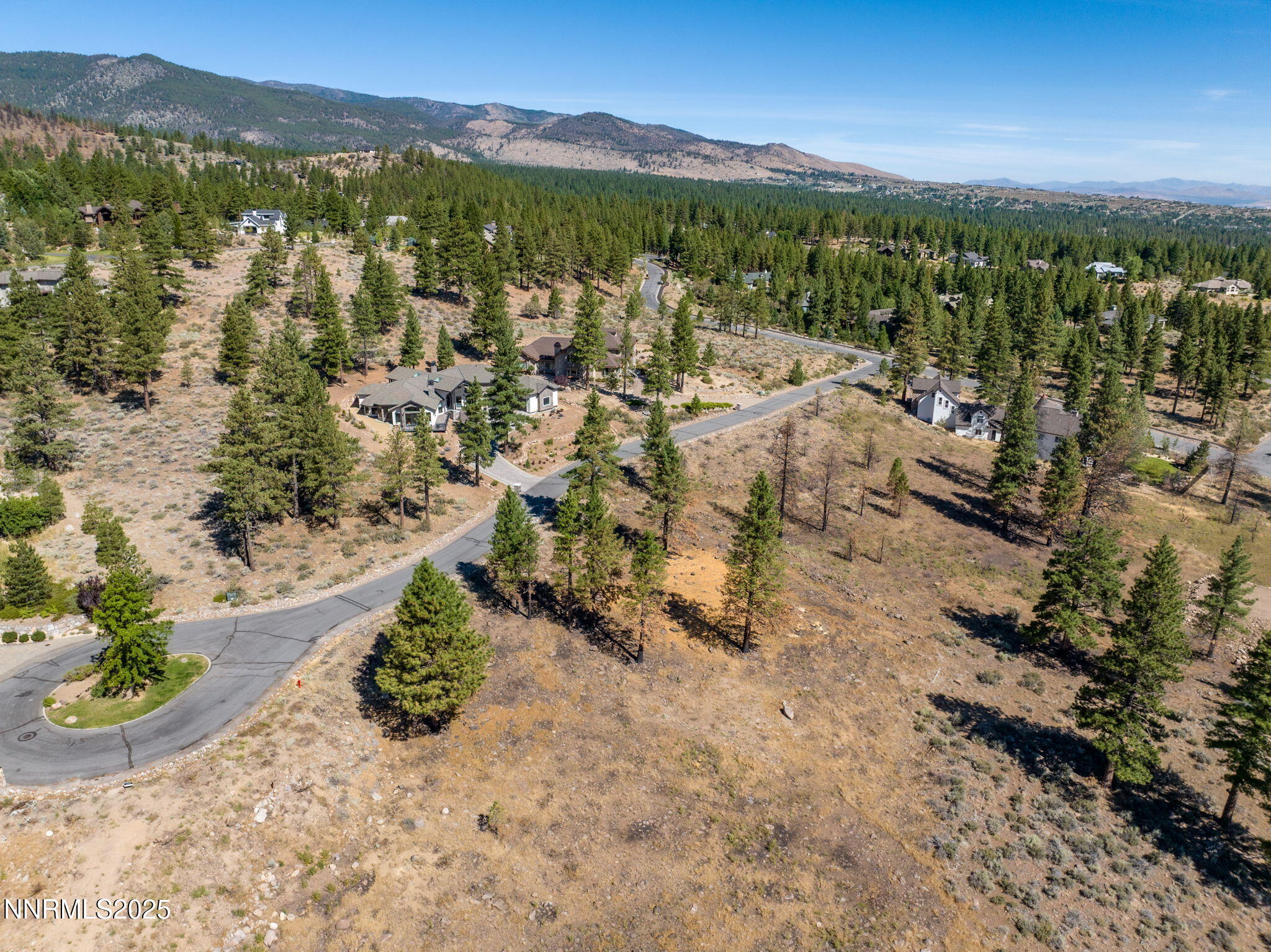 485 Mt Mahogany Court Reno, NV 89511 - Photo 20 of 28 a view of a forest with mountains in the background