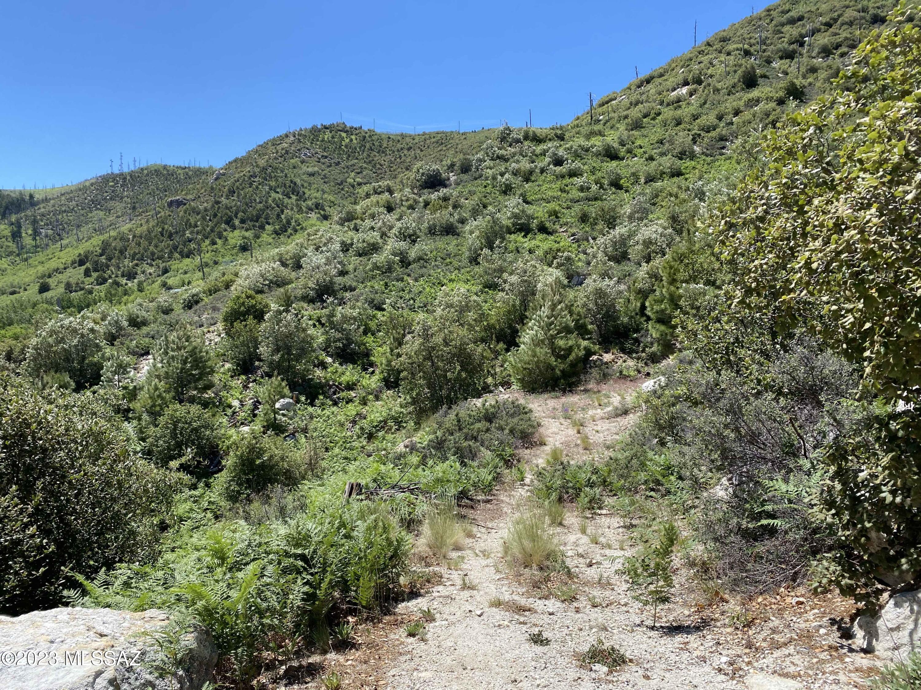 11162 East Upper Goat Hill Road Mount Lemmon, AZ 85619 - Photo 1 of 6