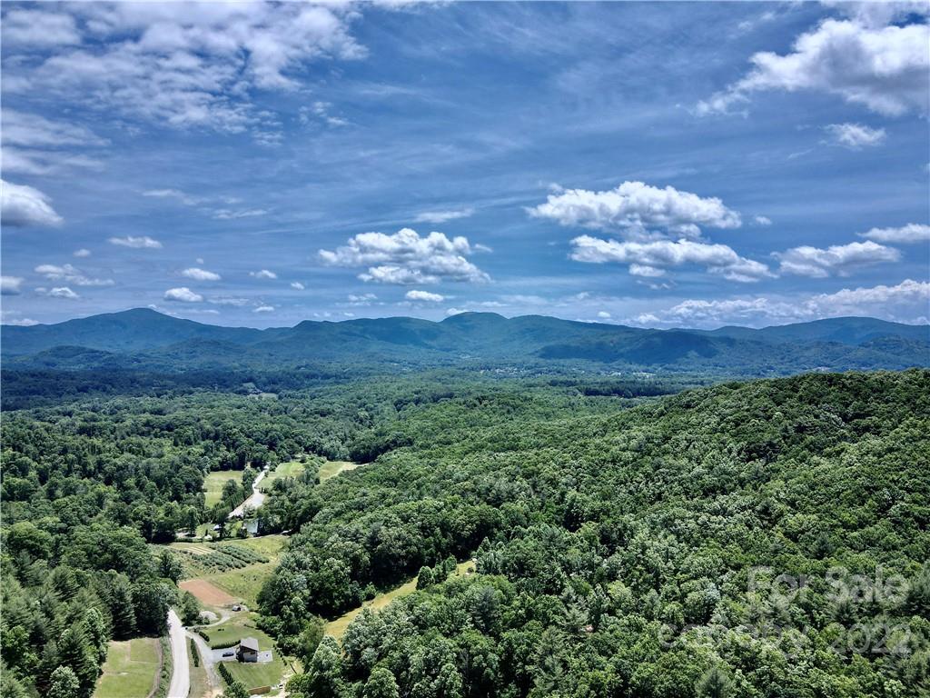 291 Bob Barnwell Road Fletcher, NC 28732 - Photo 2 of 44 Gallery Image 2