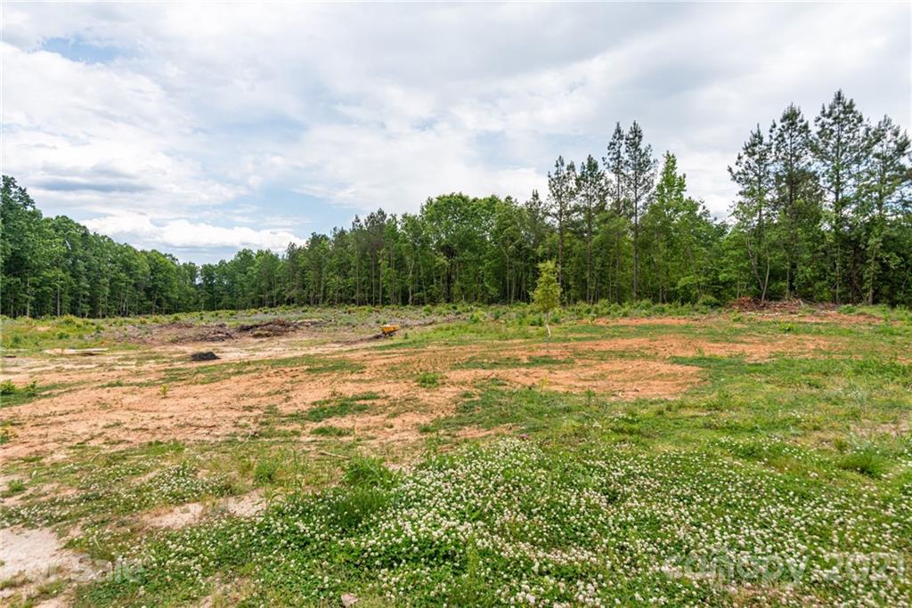 4446 Buffalo Shoals Road Maiden, NC 28650 - Photo 20 of 20 Gallery Image 20
