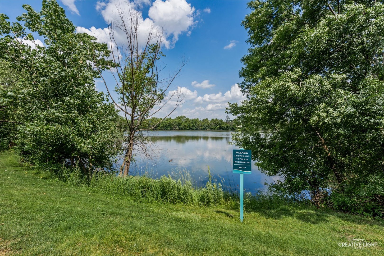 1703 Lakecliffe Drive, Unit D Wheaton, IL 60189 - Photo 17 of 20 a backyard of a house with lots of green space and lake view