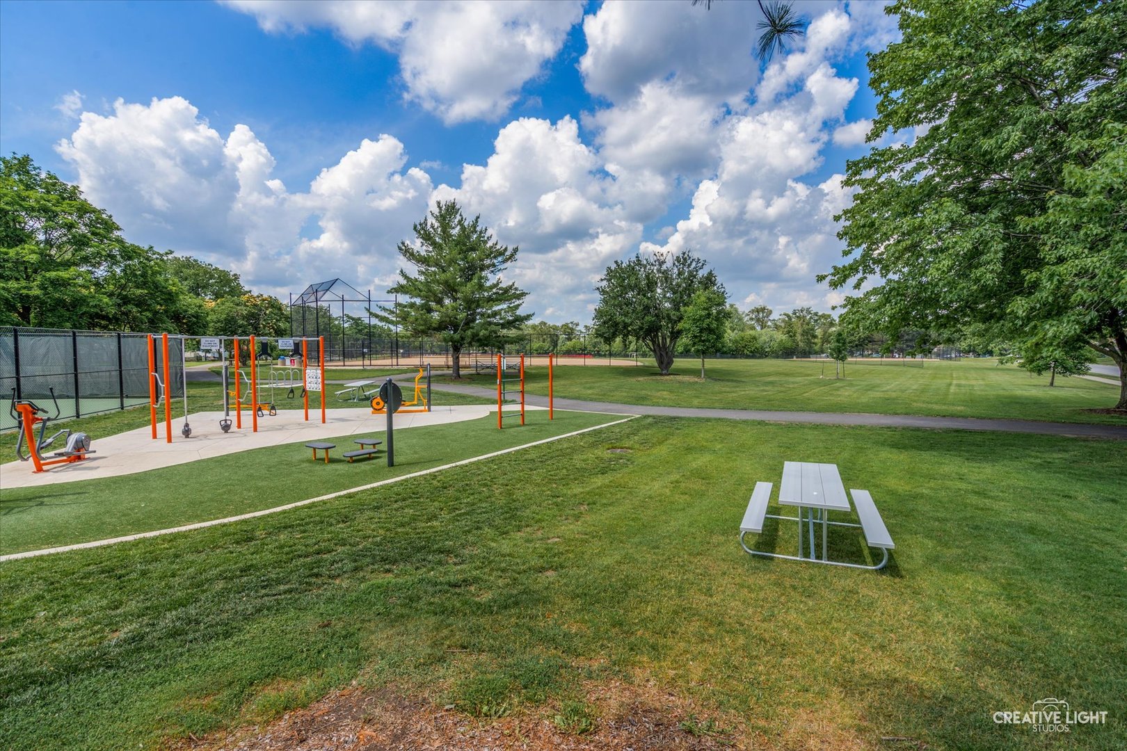 1703 Lakecliffe Drive, Unit D Wheaton, IL 60189 - Photo 19 of 20 a view of a park