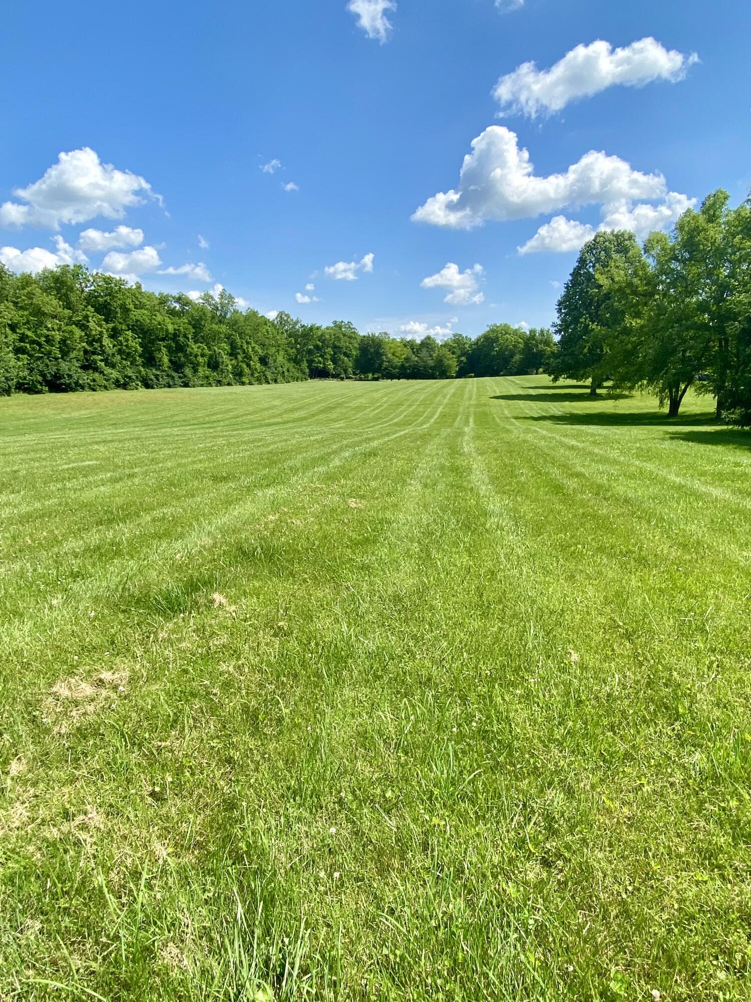 626 Crumbaugh Road Georgetown, KY 40324 - Photo 9 of 54 C440FF95-E128-4B8A-80EC-9C8BD103F9BA