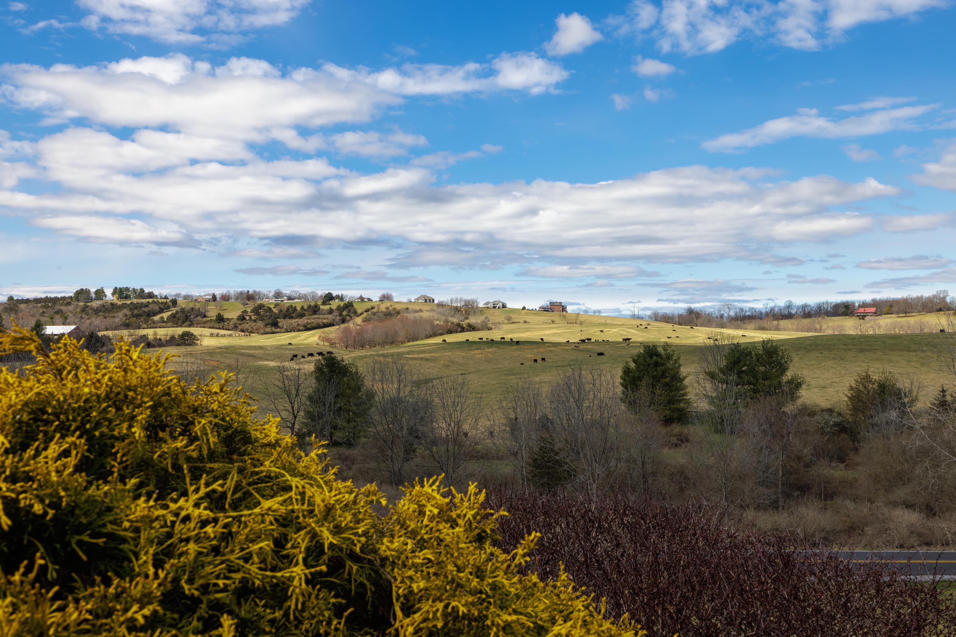 635 Long Meadow Road Fishersville, VA 22939 - Photo 3 of 63 a view of a lake view