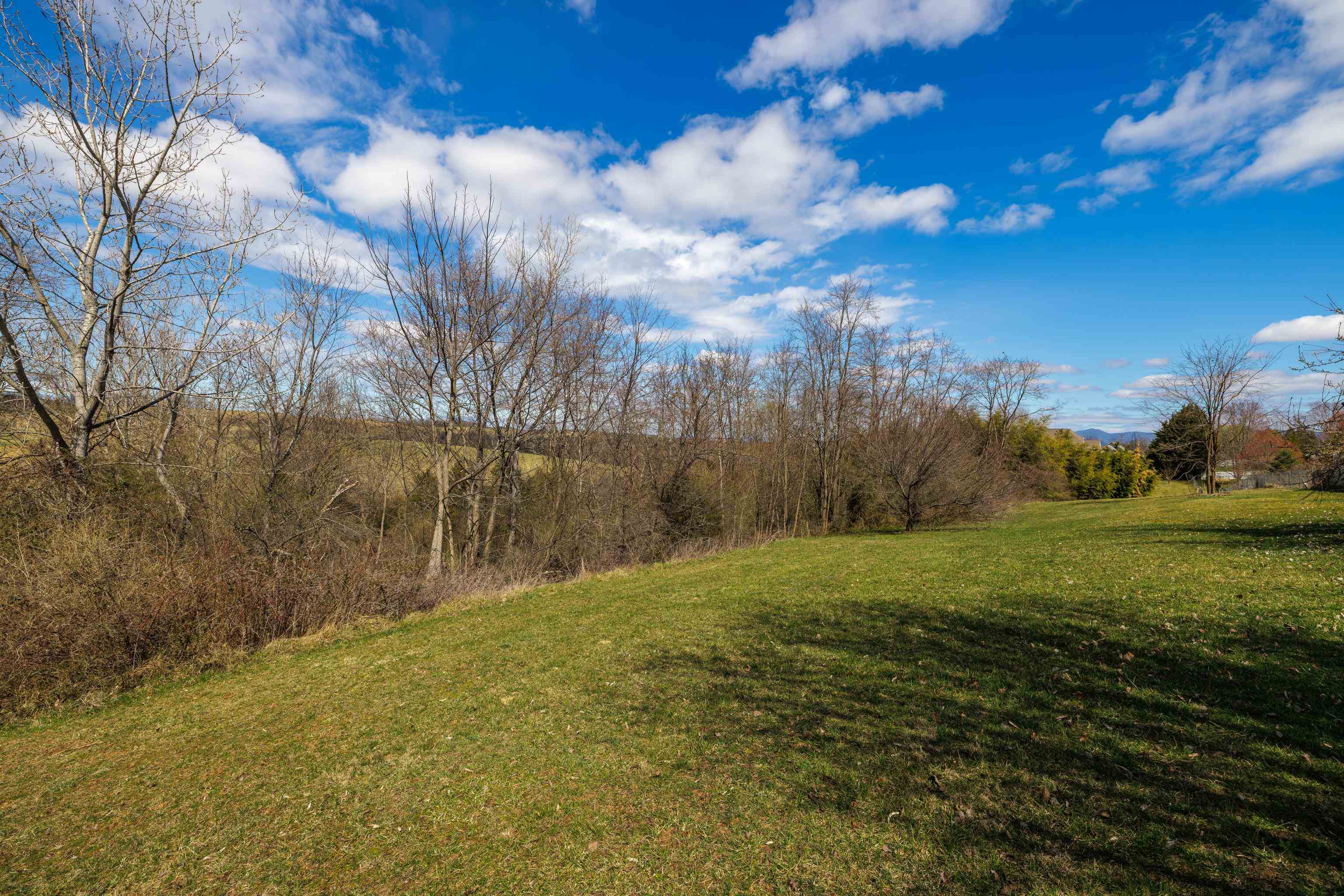 635 Long Meadow Road Fishersville, VA 22939 - Photo 47 of 63 a view of a field with an trees