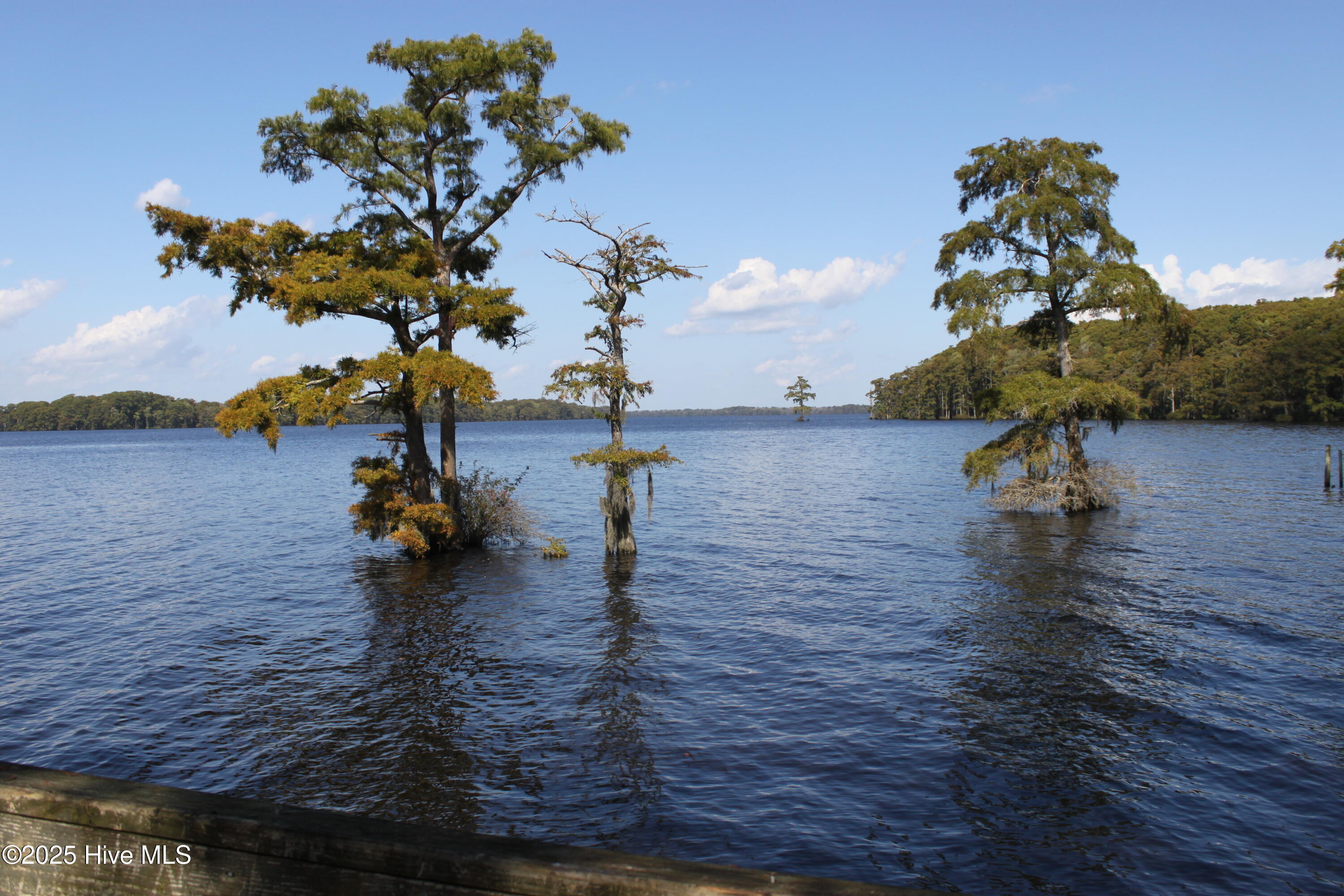 415 Cannons Ferry Road Tyner, NC 27980 - Photo 16 of 27 IMG_2386