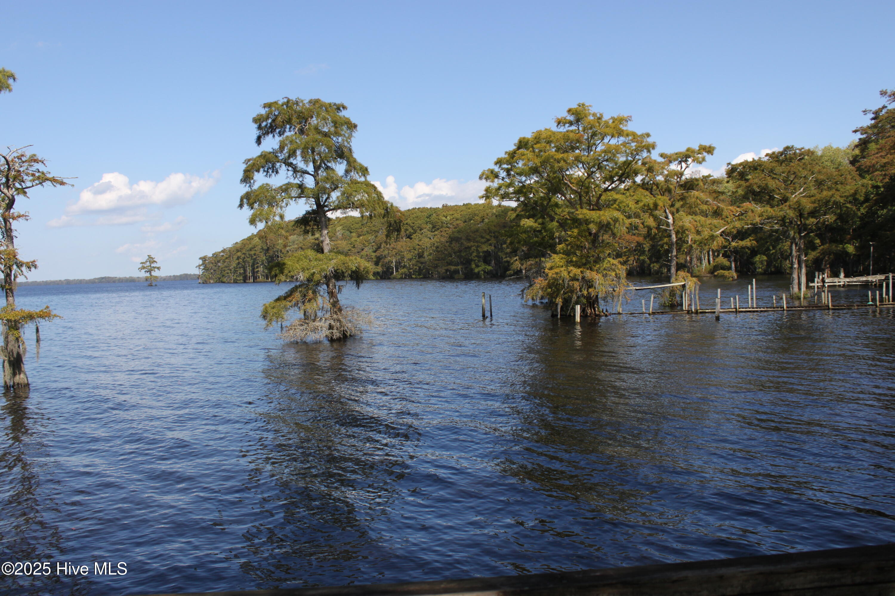 415 Cannons Ferry Road Tyner, NC 27980 - Photo 17 of 27 IMG_2385