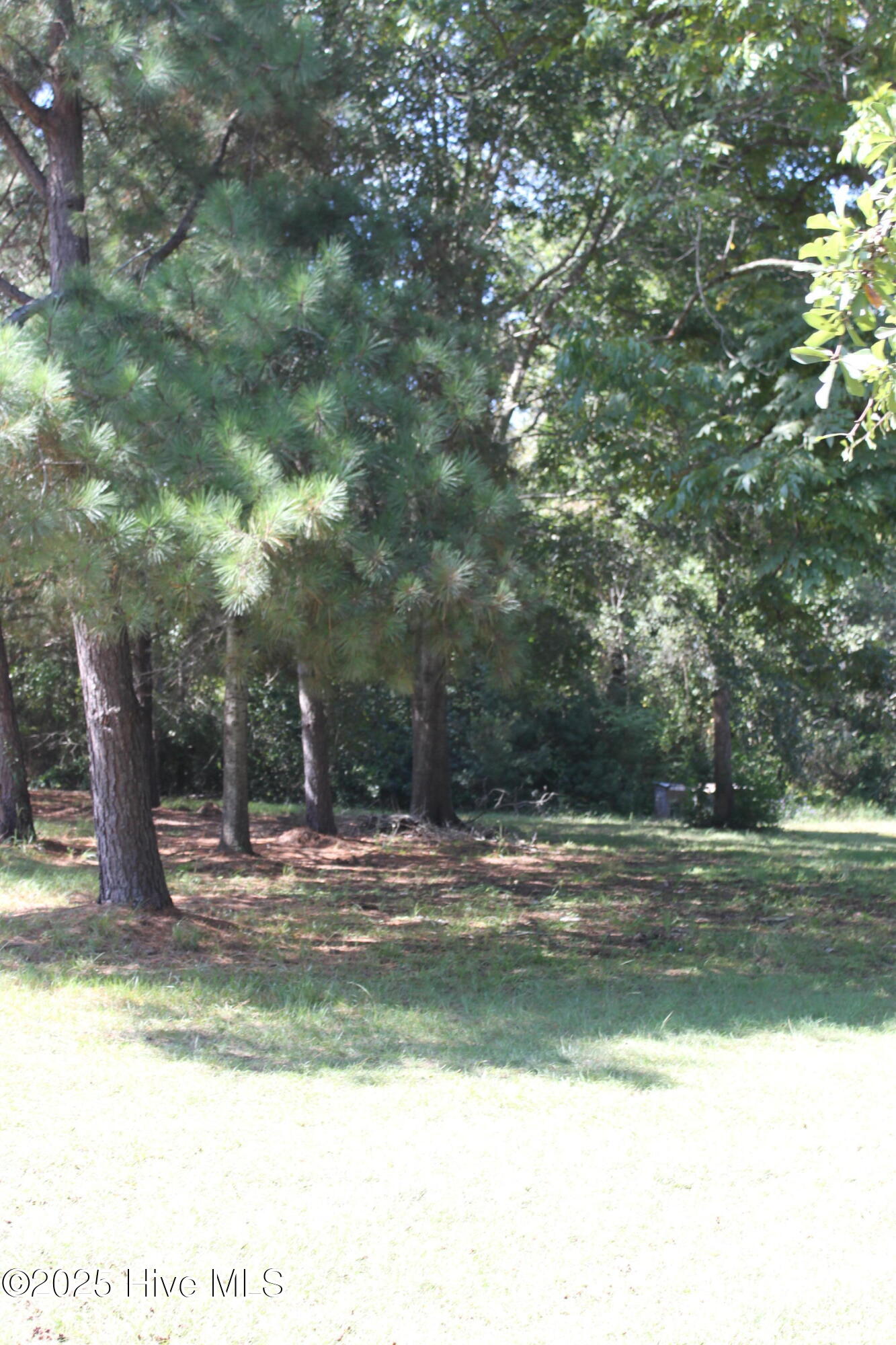 415 Cannons Ferry Road Tyner, NC 27980 - Photo 5 of 27 IMG_2357