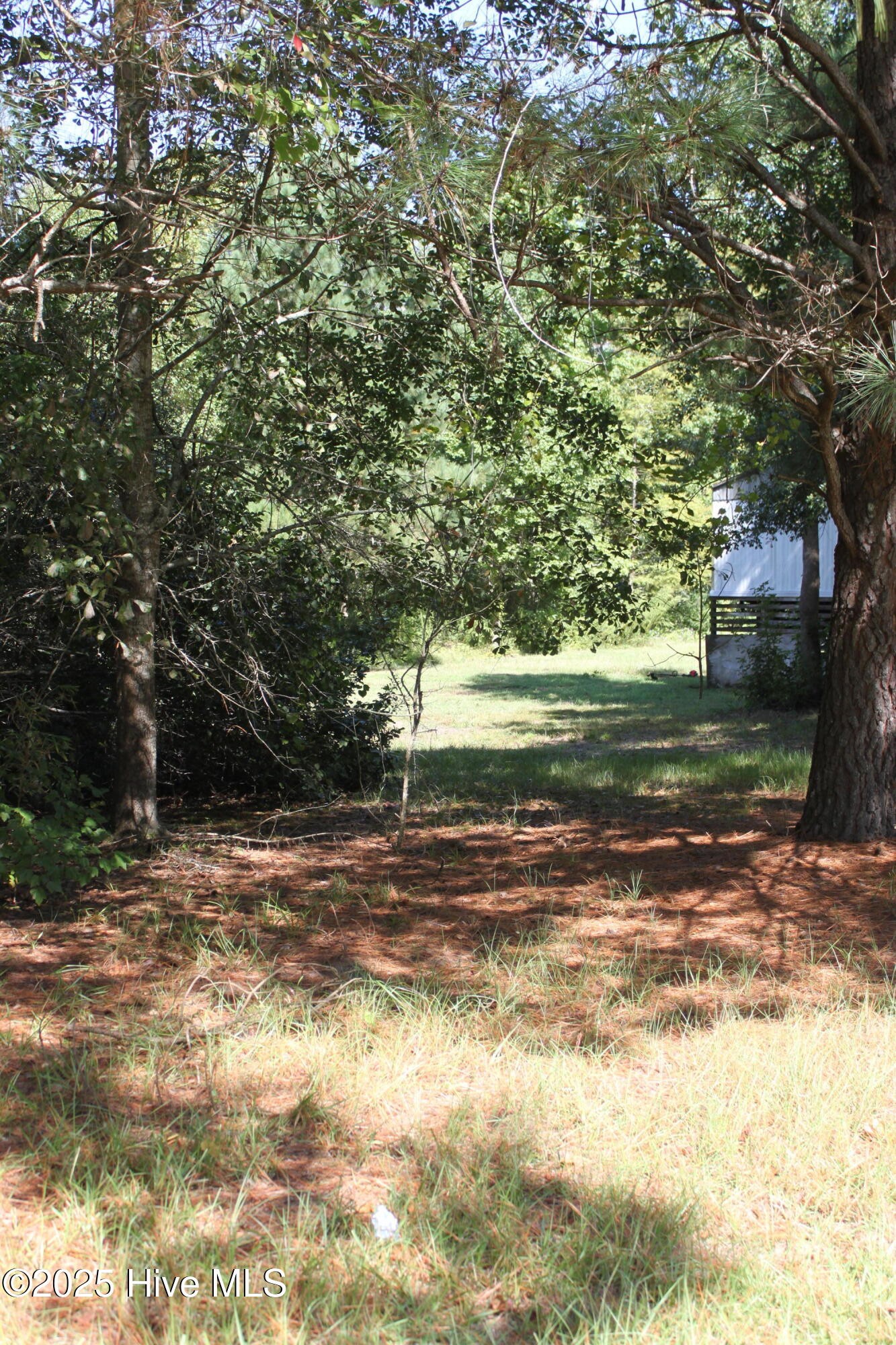 415 Cannons Ferry Road Tyner, NC 27980 - Photo 9 of 27 IMG_2361